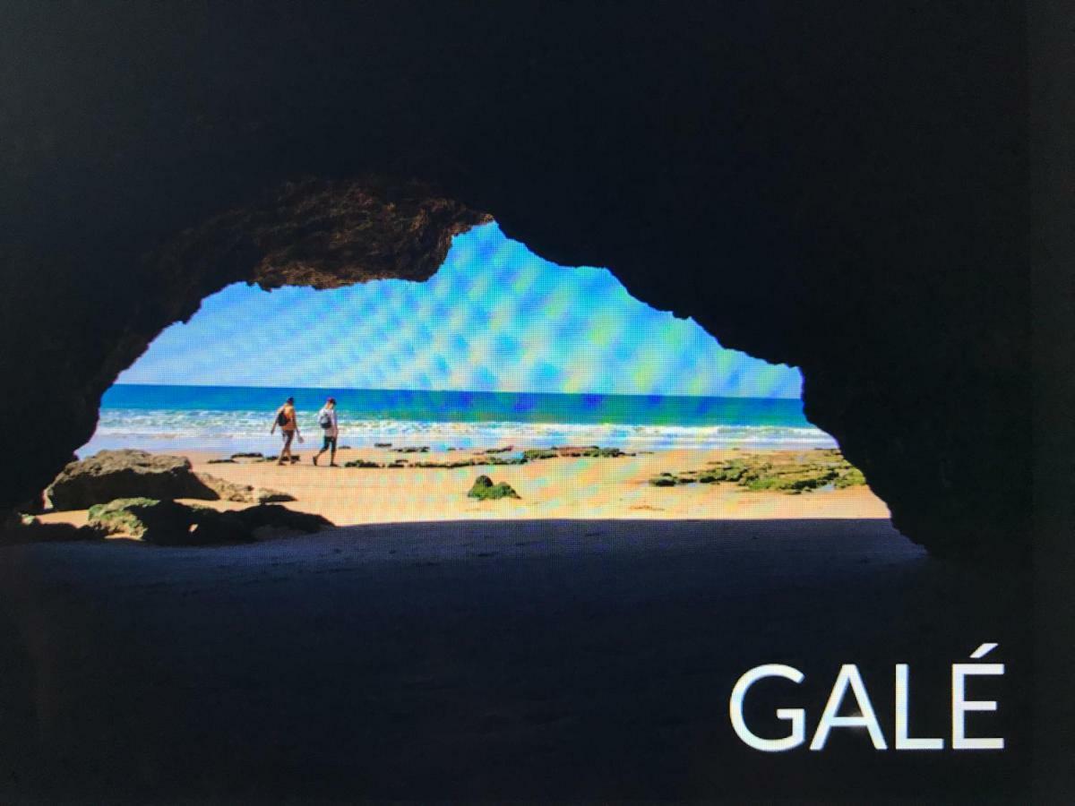 Palmeira Gale 알부페이라 외부 사진